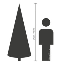 Maatvergelijking: kerstboom van 240 centimeter hoog naast een persoon van 180 centimeter hoog