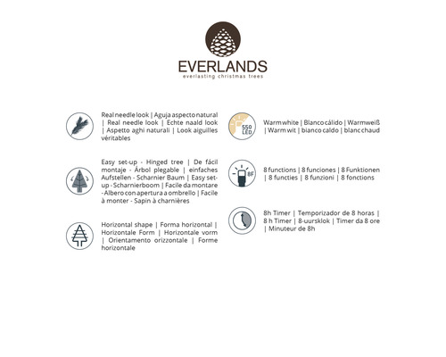 Everlands logo met productinformatie over naalden, montage, vorm, aantal leds, functies en timer