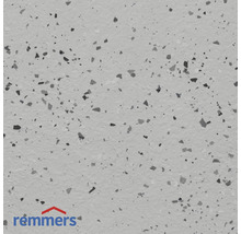 Remmers Logo. Vloercoating met splitereffect.