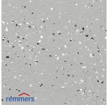 Lichte vloerbedekking met decoratieve chips en Remmers logo