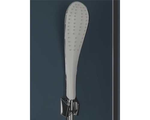 Handdouche met houder