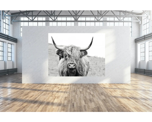 SPECIAL DECORATION Wanddoek Buffel 250x190 cm