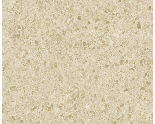 DIEPHAUS Terrastegel iStone Designed met facet zand, 50 x 50 x 4 cm