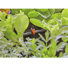Close-up van een irrigatiesysteem tussen slaplanten in een tuinbed.
