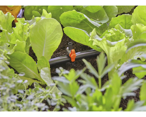 Close-up van een irrigatiesysteem tussen slaplanten in een tuinbed.