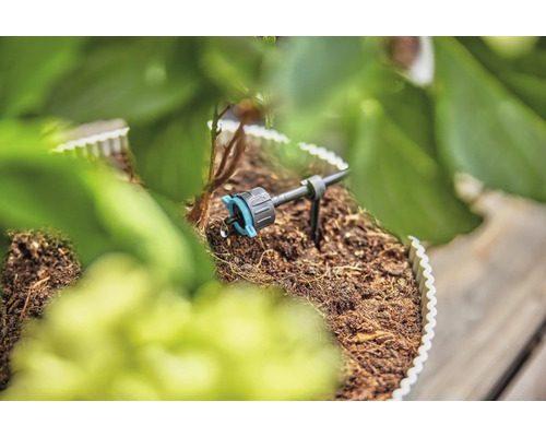 Druppelirrigatie in gebruik tussen planten