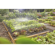 Irrigatiesysteem in een moestuin met sla en andere planten.