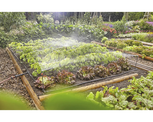 Irrigatiesysteem in een moestuin met sla en andere planten.