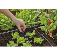 Tuinbewateringssysteem met druppelslang en groenteplanten in de tuin