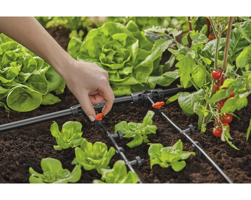 Tuinbewateringssysteem met druppelslang en groenteplanten in de tuin