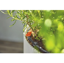 Druppelirrigatiesysteem voor planten in plantenbak