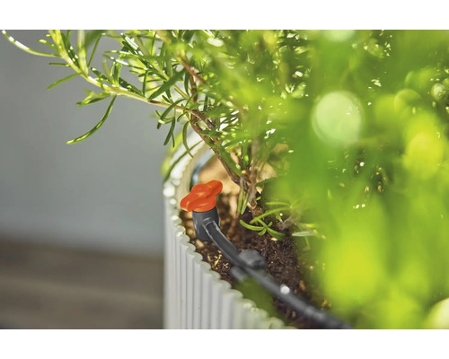 Druppelirrigatiesysteem voor planten in plantenbak