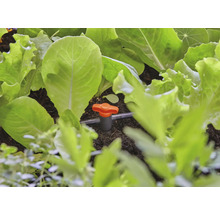 Irrigatiesysteem met slaplanten in de tuin