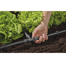 Close-up van een vrouw die een irrigatiesysteem installeert voor sla in de tuin