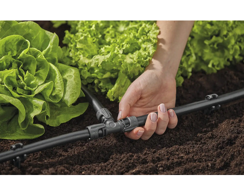 Close-up van een vrouw die een irrigatiesysteem installeert voor sla in de tuin