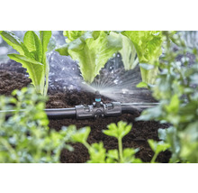 Irrigatiesysteem met sprinkler in de moestuin