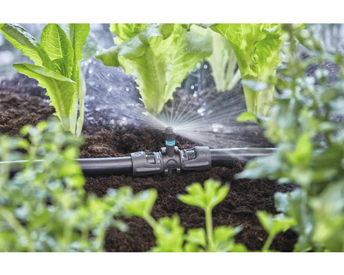 Irrigatiesysteem met sprinkler in de moestuin