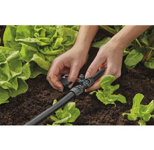 Installatie van druppelirrigatie in de tuin voor gerichte bewatering van planten