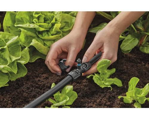 Installatie van druppelirrigatie in de tuin voor gerichte bewatering van planten