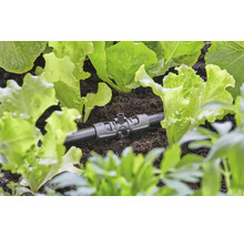 Druppelbuisverbinding tussen sla in de moestuin