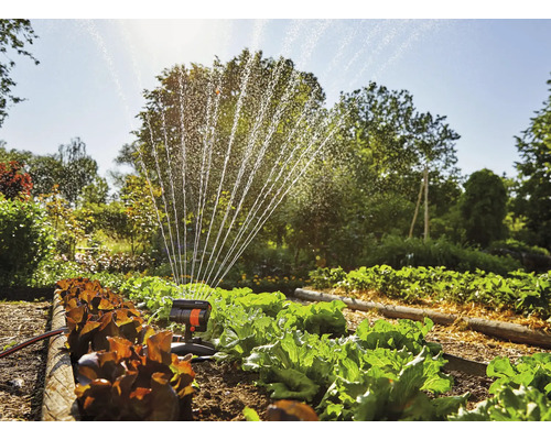 Tuinscene met moestuin en gazonsproeier in werking