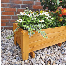 Houten plantenbak beplant met bloemen