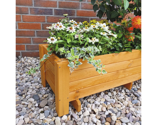 Houten plantenbak beplant met bloemen