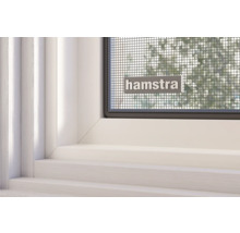 HAMSTRA Inzethor Ultra voor ramen 85x115 cm-thumb-3