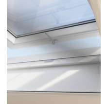 HAMSTRA Rolhor raam Plus wit 58x155 cm-thumb-1 HAMSTRA Rolhor raam Plus wit 58x155 cm-thumb-1