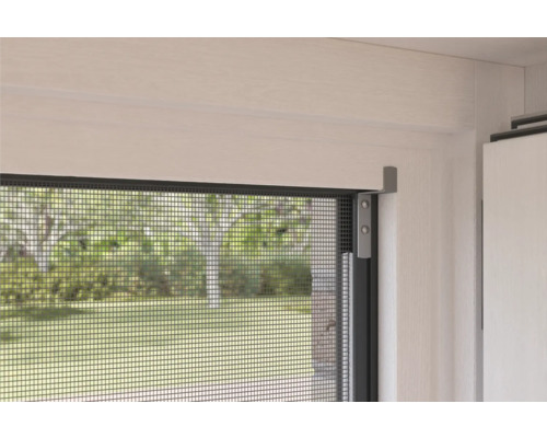 Close-up van een gemonteerd insectenhor op een raam