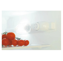 Binnenkant van een koelkast met temperatuurregelaar en tomaten