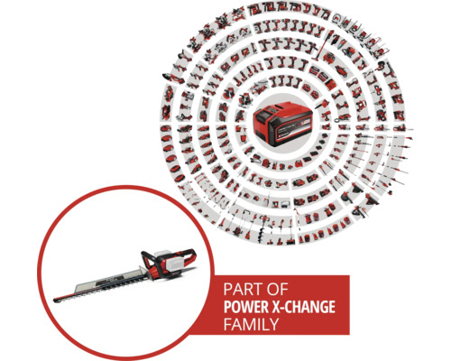 Illustratie van het Power X-Change accusysteem met accu en heggenschaar