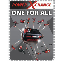 Een Power X-Change accu afgebeeld met verschillende gereedschappen en tuingereedschap.