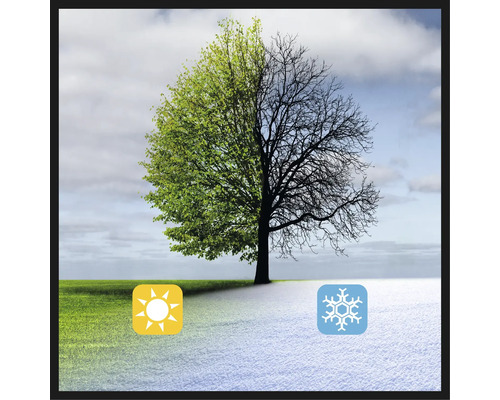 Afbeelding die de seizoenen lente en winter voorstelt met een boom, een zon en een sneeuwvlok