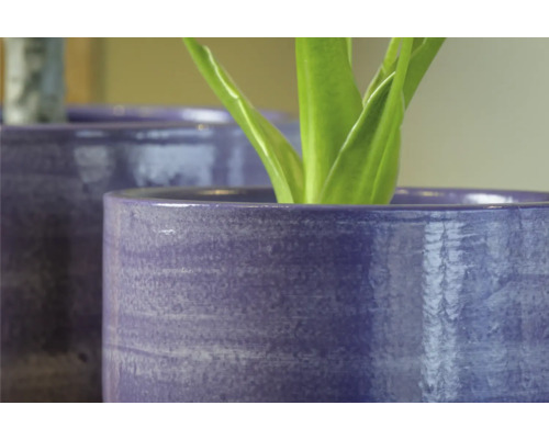 Close-up van twee plantenbakken