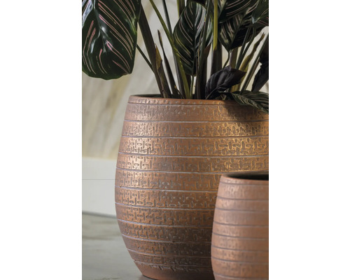 Plant in gestructureerde pot