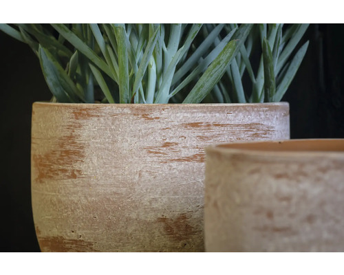 Close-up van twee terracotta-stijl plantenbakken met groene planten