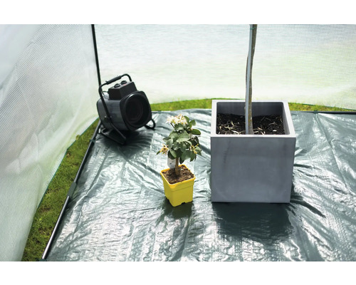 Interieur van kas met verwarming en planten in potten