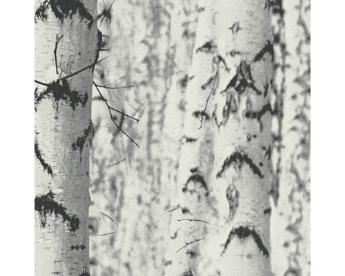 Behang met berkenbosmotief