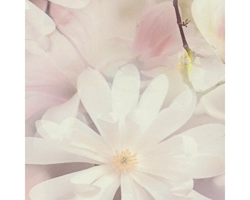 Close-up van magnolia bloemen