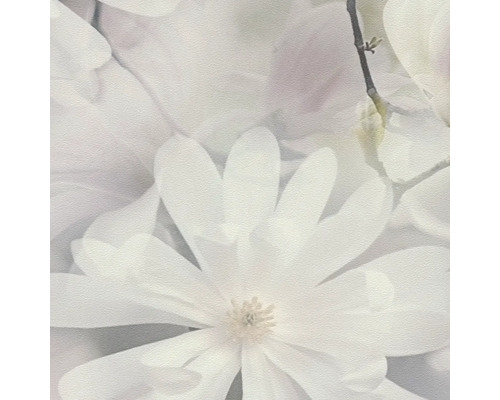 Close-up van witte magnolia bloemen