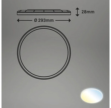 Technische tekening van een ronde plafondlamp met afmetingen van 293 millimeter diameter en 28 millimeter hoogte