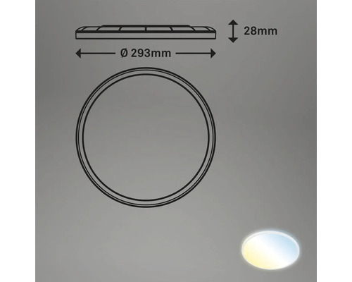 Technische tekening van een ronde plafondlamp met afmetingen van 293 millimeter diameter en 28 millimeter hoogte