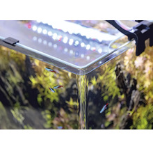Close-up van een beplant aquarium met vissen en verlichting