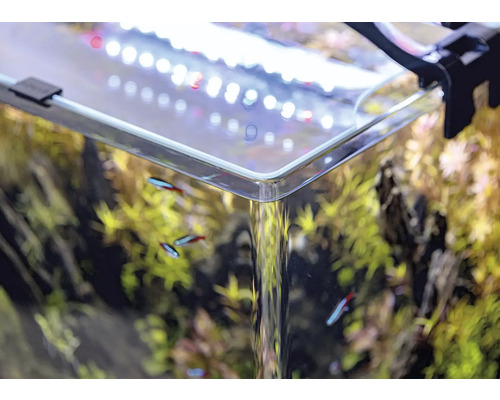 Close-up van een beplant aquarium met vissen en verlichting