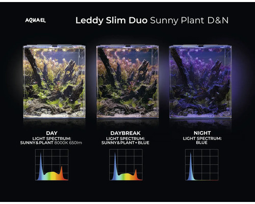 Aquael Leddy Slim Duo Sunny Plant D&N aquarium met dag-, daglicht- en nachtverlichting
