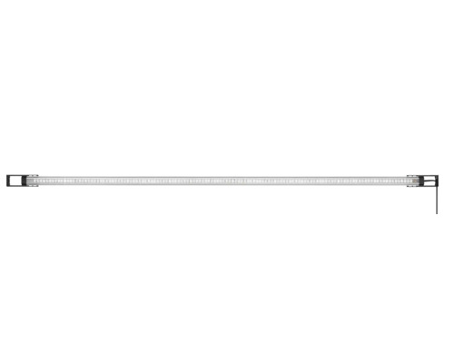 LED buislamp