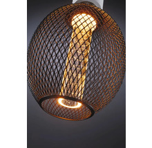 Hanglamp met zwart metalen raster en lichtbron
