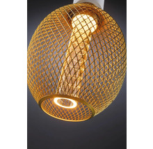 Hanglamp met metalen draadkap en lamp