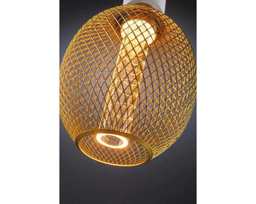 Hanglamp met metalen draadkap en lamp